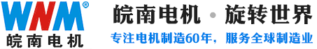 安徽皖南電機(jī)股份有限公司